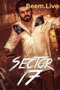 sector-17-2024-punjabi-full-movie-watch-download-beem-live