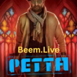 petta-2019-web-dl-dual-audio-hindi-org-tamil-full-movie